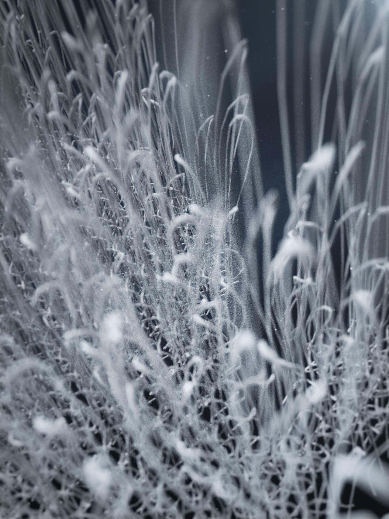 奥罗玛斯记忆枕-三维产品动画（图ZMjQ2MDI2MjAw） - 动画/影视 - 站酷设计师木东东东原创素材 - 站酷ZCOOL