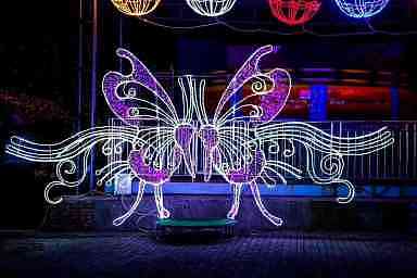 灯光展租赁,灯光造型设计,灯饰画方案,树木亮化灯光