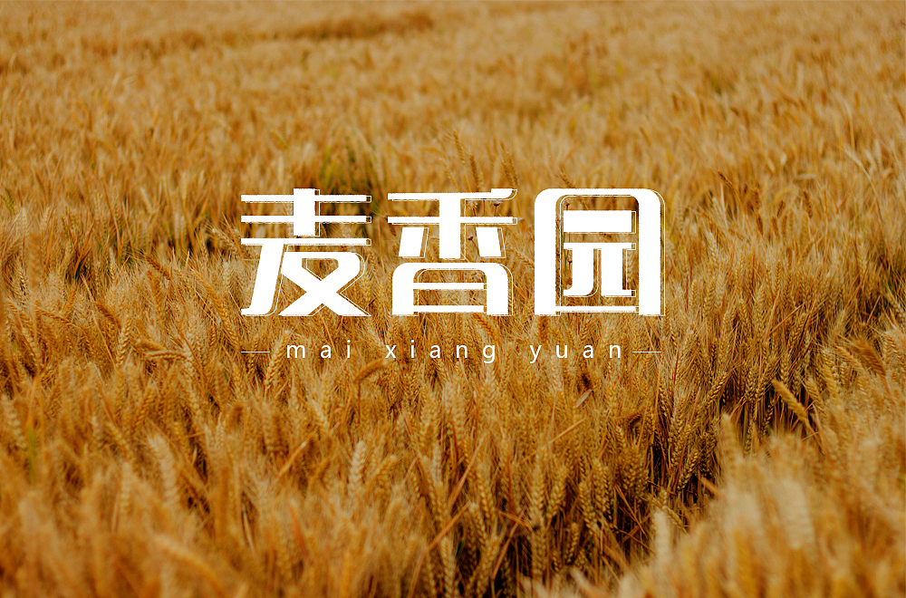 矩形字练习，面性字体（图ZMTY4MzEyNzgw） - 字体/字形 - 站酷设计师欧阳土豆原创素材 - 站酷ZCOOL