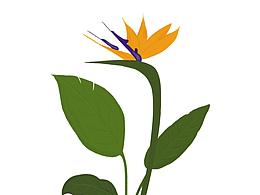 【零基礎(chǔ)自學(xué)插畫(huà)小白打卡】近日臨摹的作品