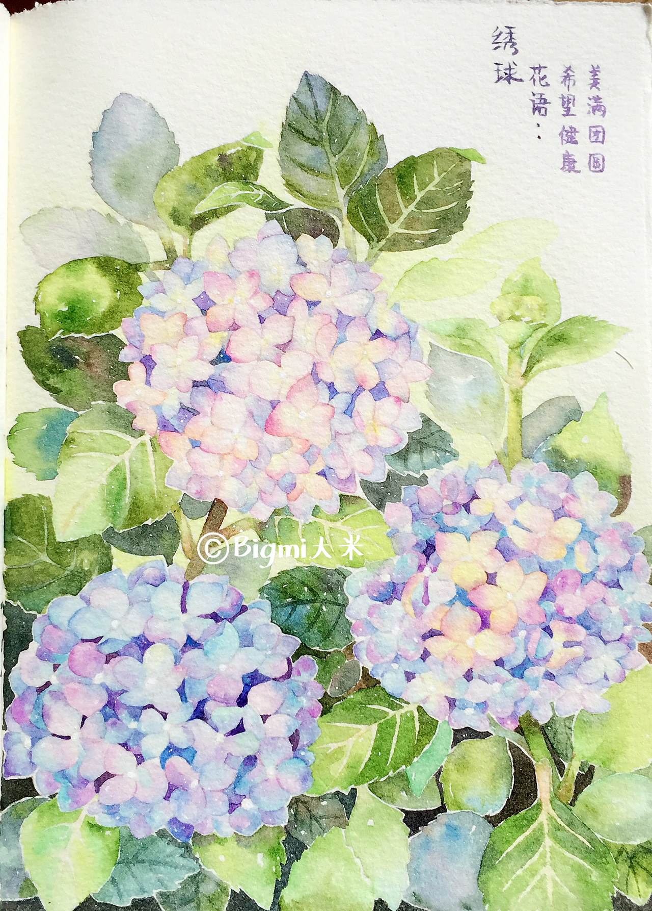 那些花儿-原创手绘水彩插画(图ZMTE5ODc1OTM2) - 艺术插画 - 站酷设计师Bigmi大米原创素材 - 站酷ZCOOL