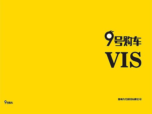 VIS 九号购车
