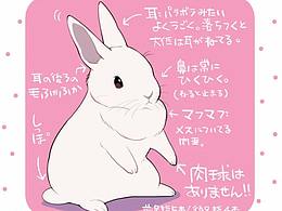 素材