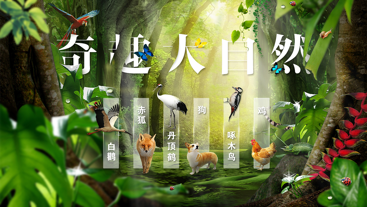 奇趣大自然（图ZNTE2MDE4MTI=） - 运营设计 - 站酷设计师小芸儿19原创素材 - 站酷ZCOOL