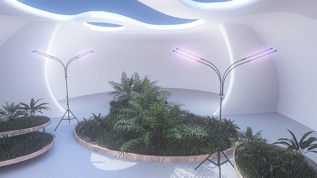 植物灯三维产品动画