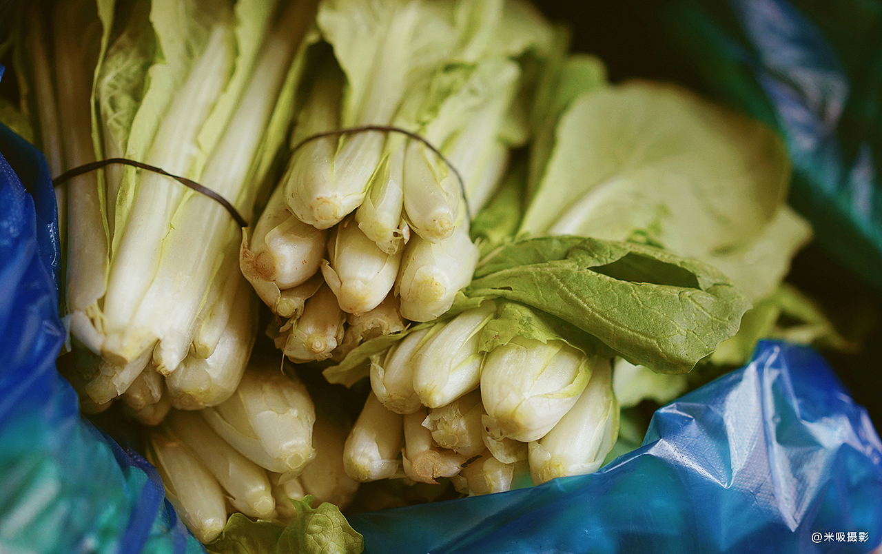 小白菜一扎一扎的捆好, br>如果有不新鲜的会换掉.