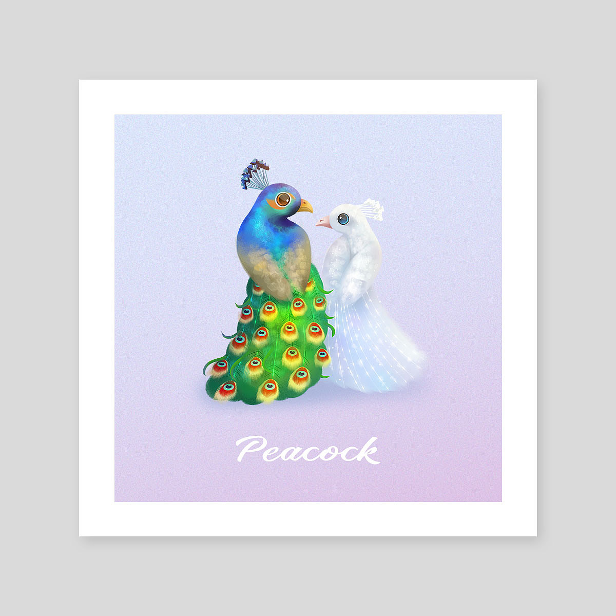 保护动物篇（图ZMjM4OTczMzg0） - 商业插画 - 站酷设计师MandyBao原创素材 - 站酷ZCOOL