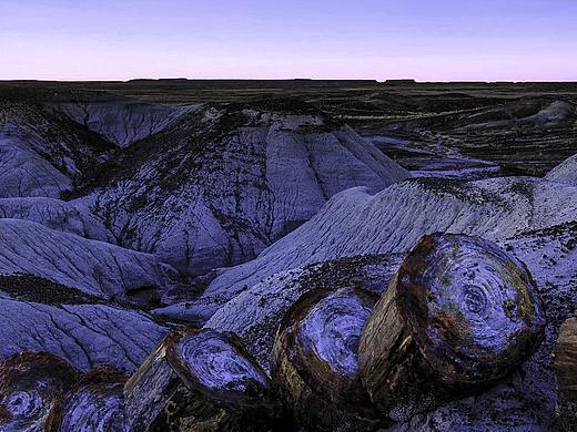 长春花蓝 · 石化之木（个人主页-ZNTY4ODUxNzI=） - 修图/后期 - 站酷设计师studying辛辰原创素材 - 站酷ZCOOL