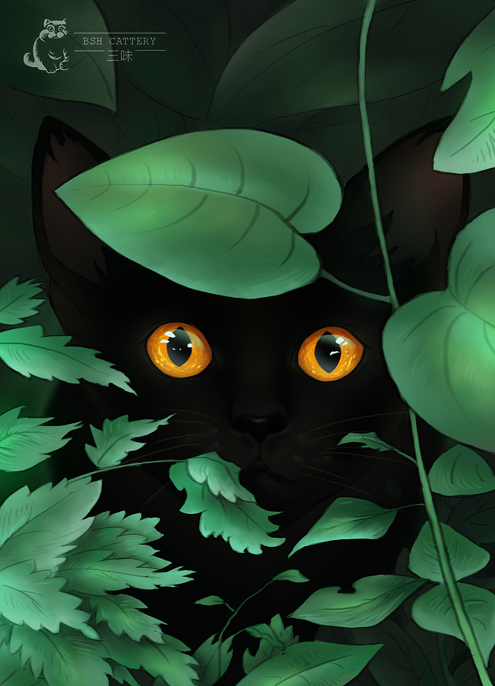 黑猫（图ZNjkyMDc2NjQ=） - 创作习作 - 站酷设计师MIX喵原创素材 - 站酷ZCOOL