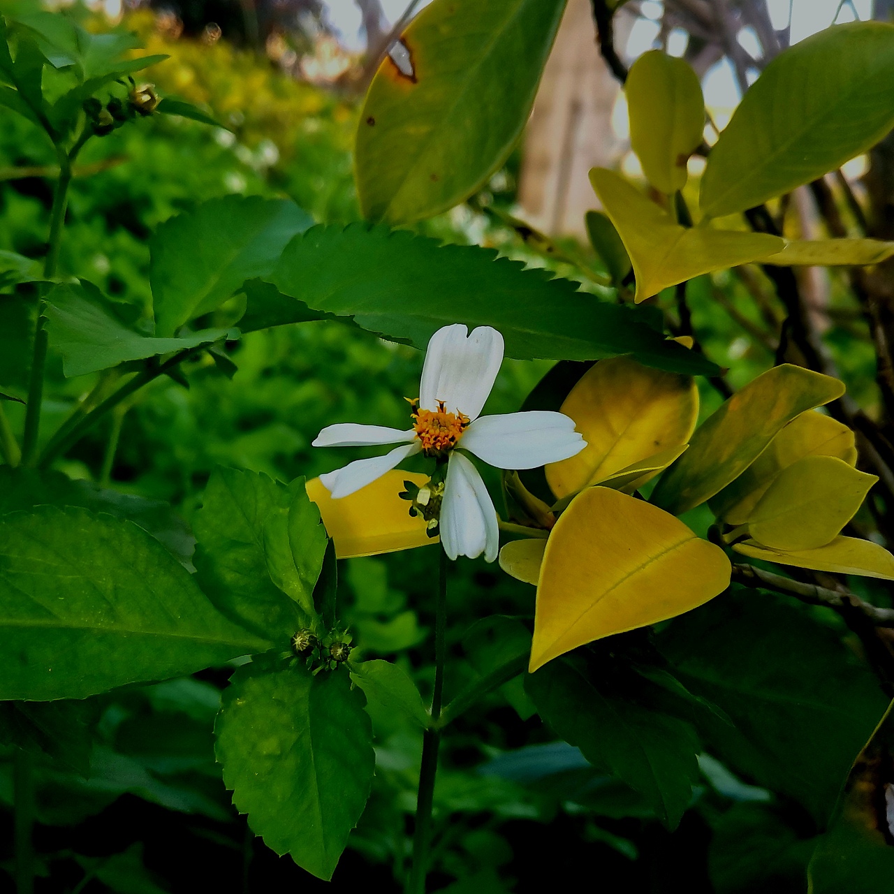 准备好迎接春天吧!