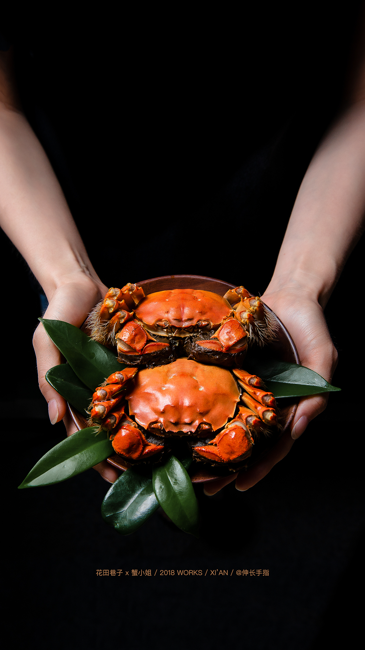 开启九月 吃蟹（图ZMTI3MTM5MDcy） - 产品摄影 - 站酷设计师伸长手指原创素材 - 站酷ZCOOL