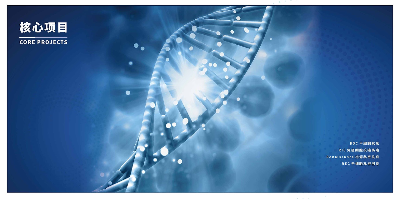 公司品牌宣传画册