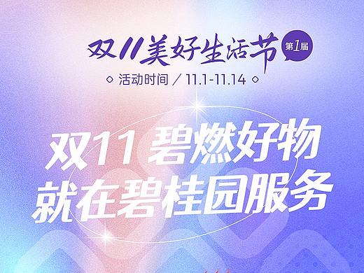 双11团购商品海报