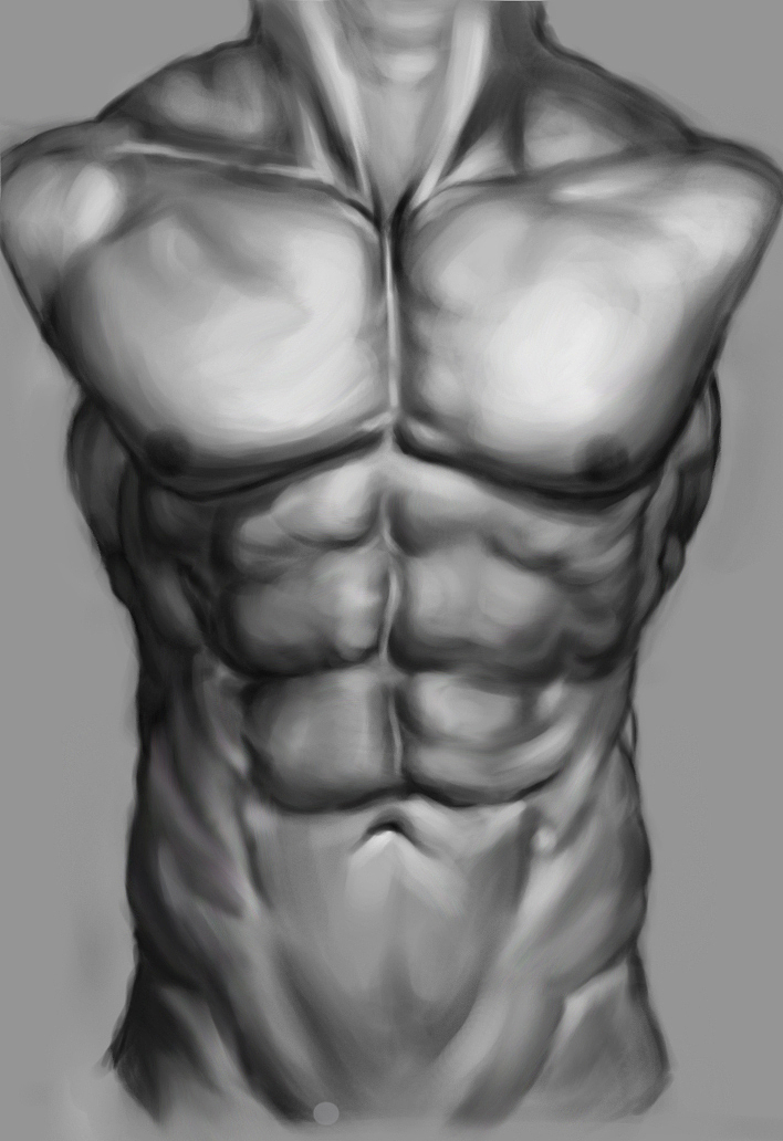 人体肌肉素描练习