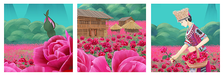 画了些好吃哒 ^_^ (农产品商业插画)