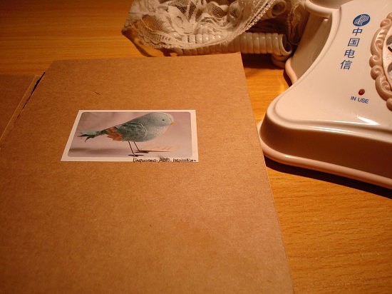 linguoguo 2010 ....（图ZMTU2NDE0NA==） - 概念设定 - 站酷设计师林果果原创素材 - 站酷ZCOOL