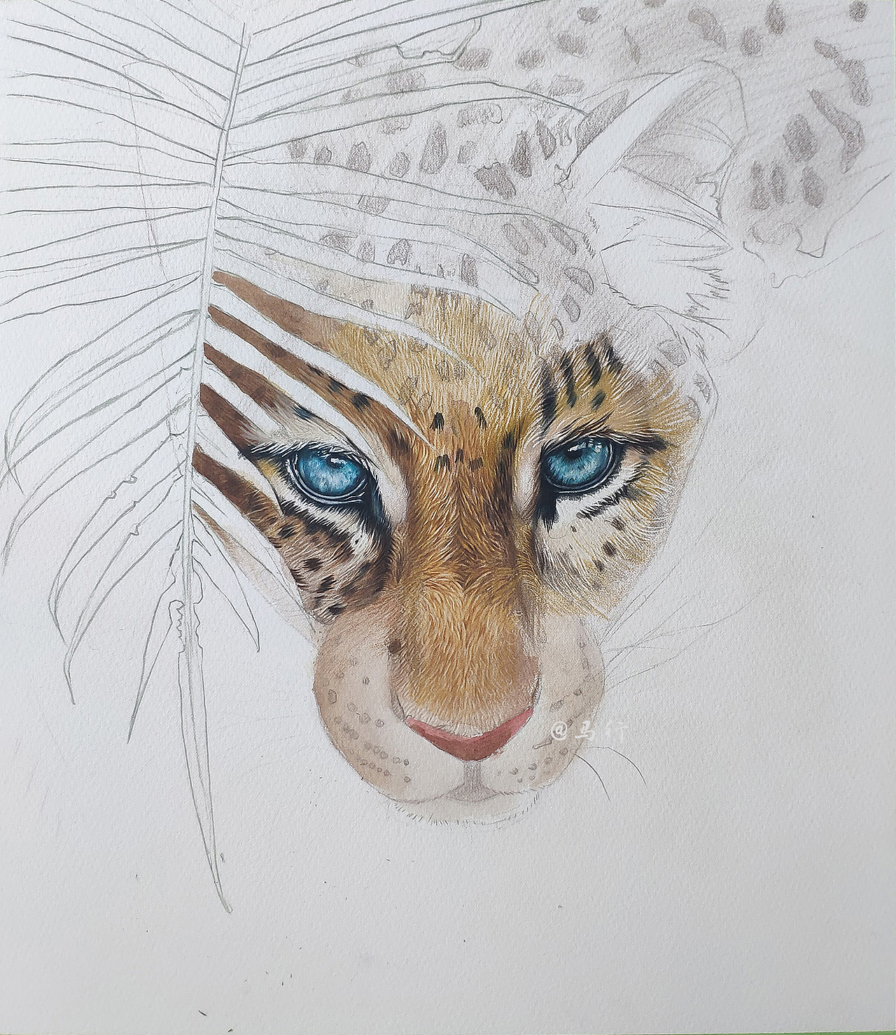 彩铅动物《豹》