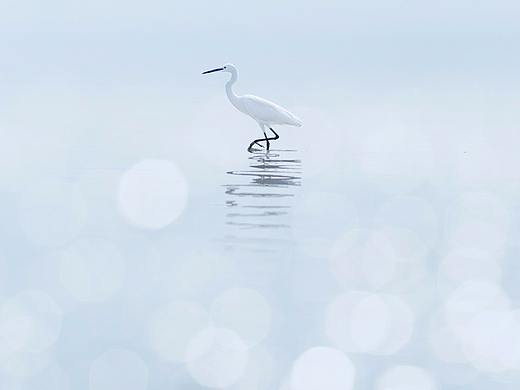后海天堂
