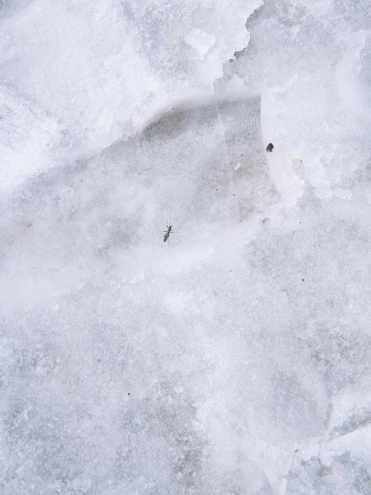 冷酷仙境与世界尽头（图ZMjUwMTA1MzYw） - 风光摄影 - 站酷设计师阿璞UP原创素材 - 站酷ZCOOL