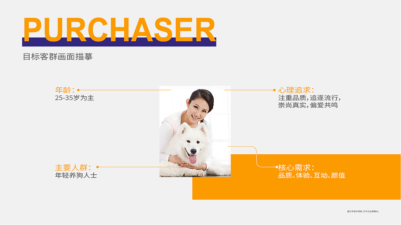 晨狮原创设计丨安贝(安诺品牌)猫粮狗粮系列包装设计