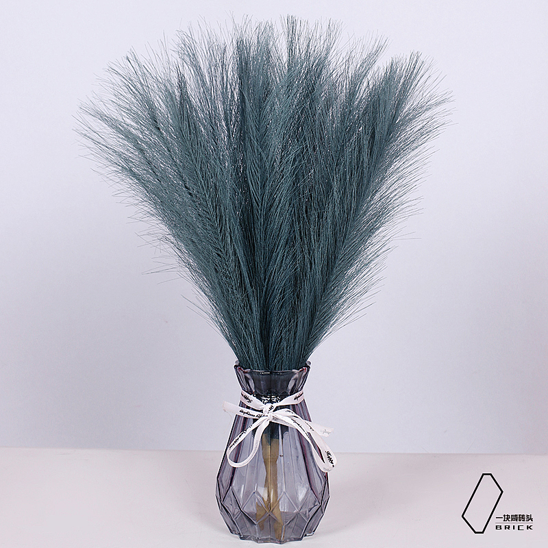 干植物（图ZMjc3MDA3NDgw） - 时尚/艺术摄影 - 站酷设计师一块咸砖头原创素材 - 站酷ZCOOL