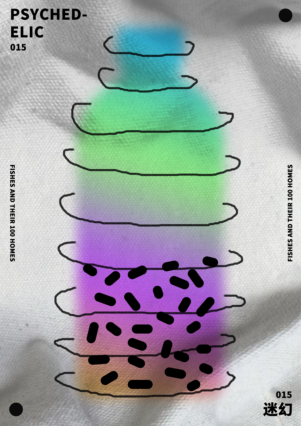 fishes and their 100 homes / 实验海报创作