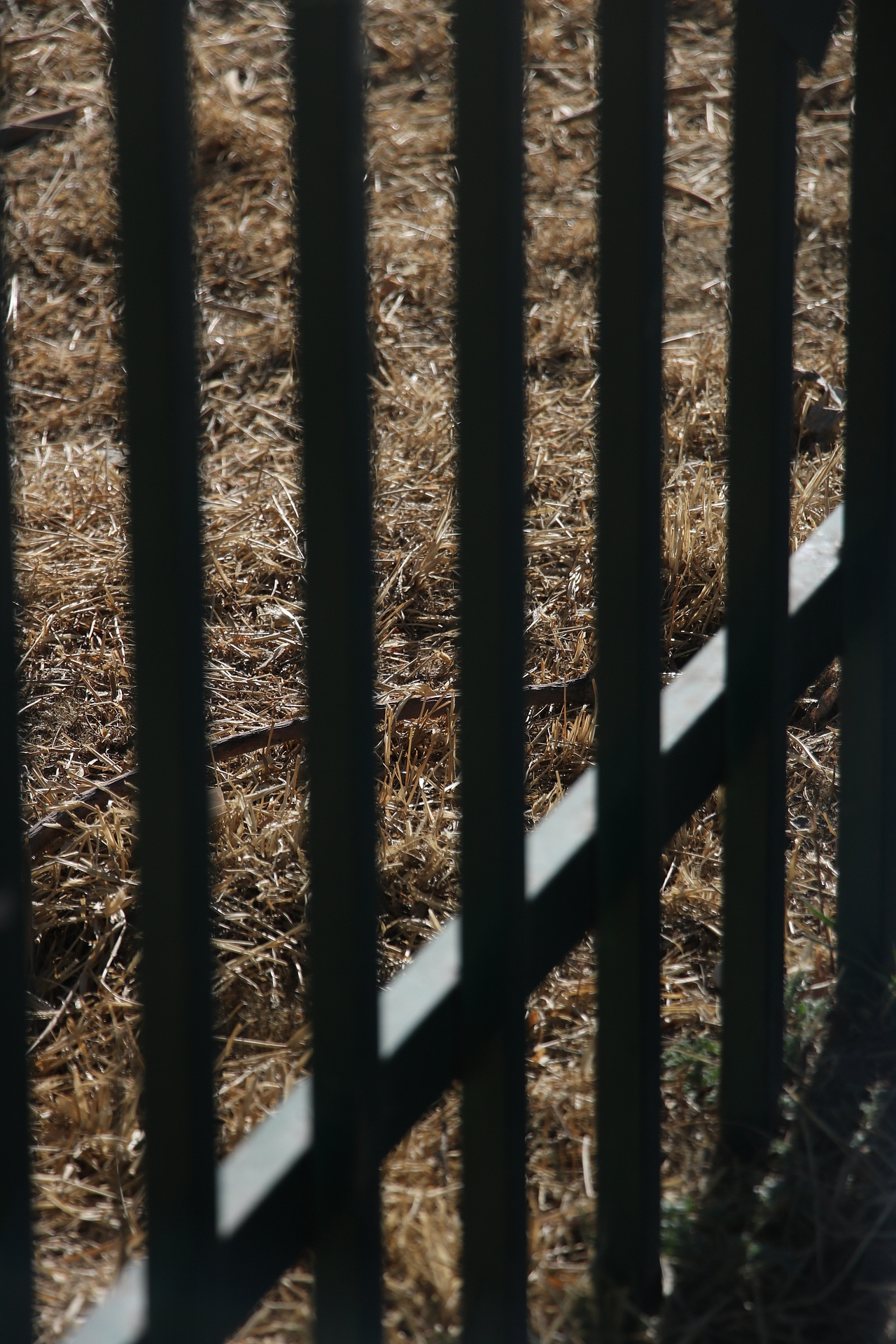 扫街日记（图ZMjk1NzY3ODI4） - 人文/纪实摄影 - 站酷设计师见习忍者原创素材 - 站酷ZCOOL