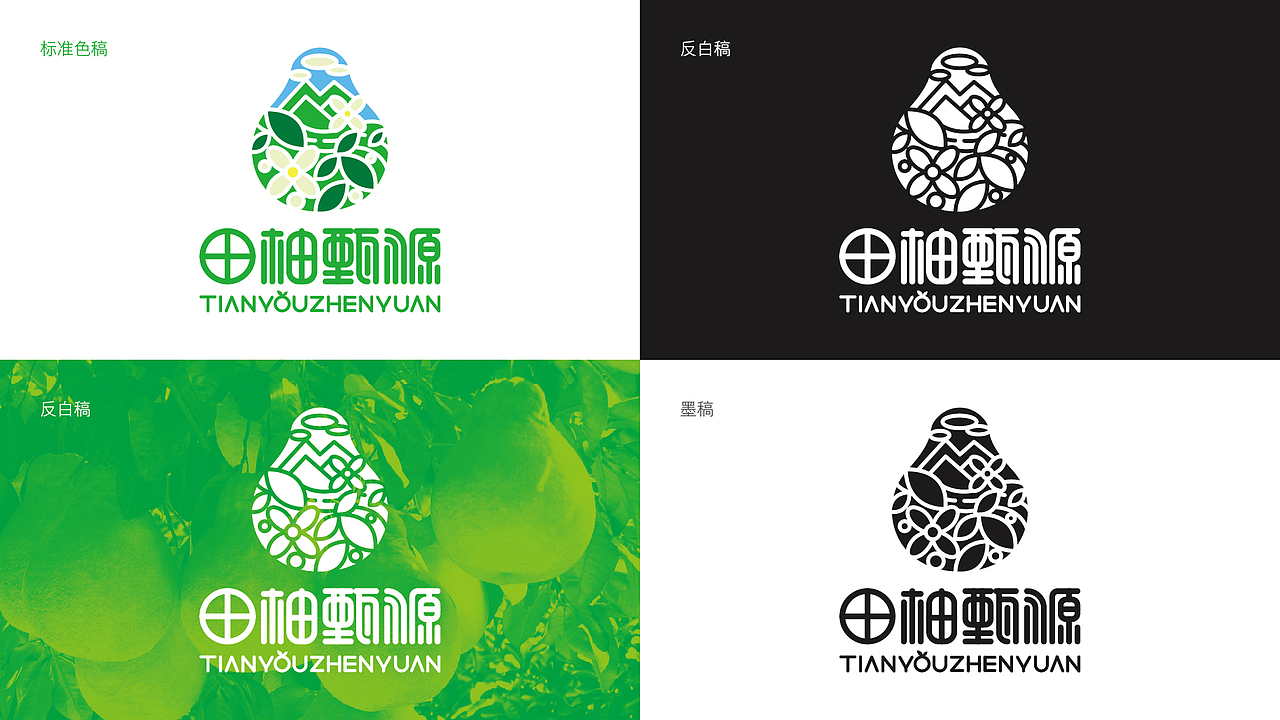 田柚甄源logo设计提案-飞机稿（图ZMTc1MTY1NzU2） - Logo - 站酷设计师黑璞设计原创素材 - 站酷ZCOOL