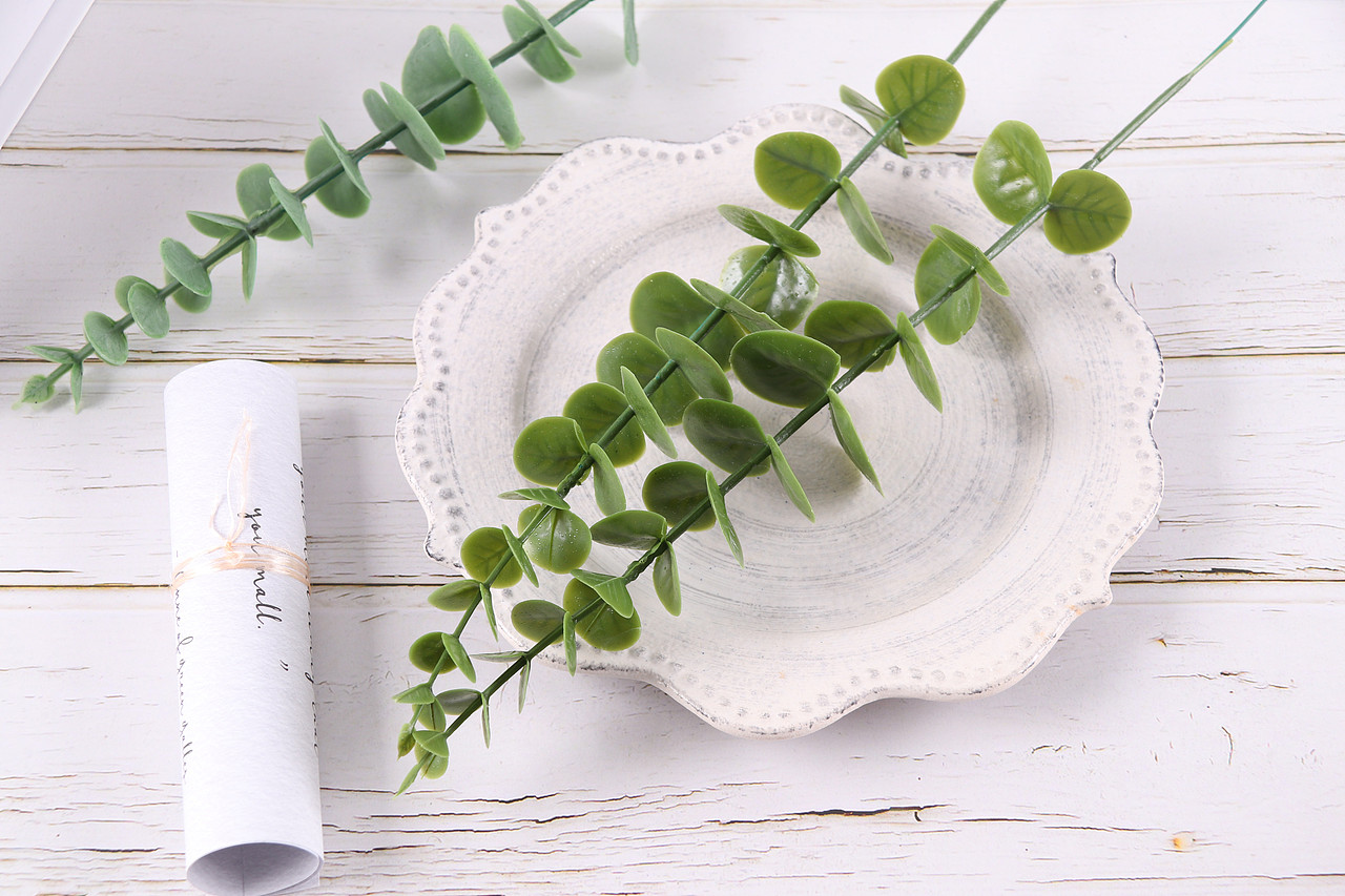 B03家居饰品\C11-仿真饰品\V06仿真尤加利叶X1