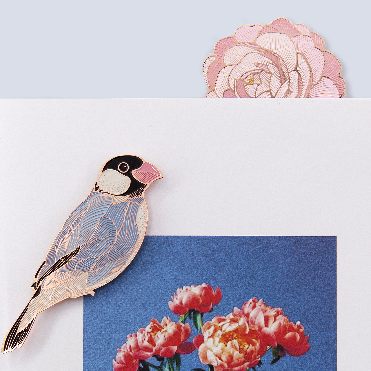 东方花鸟 | 有如中国画的诗意