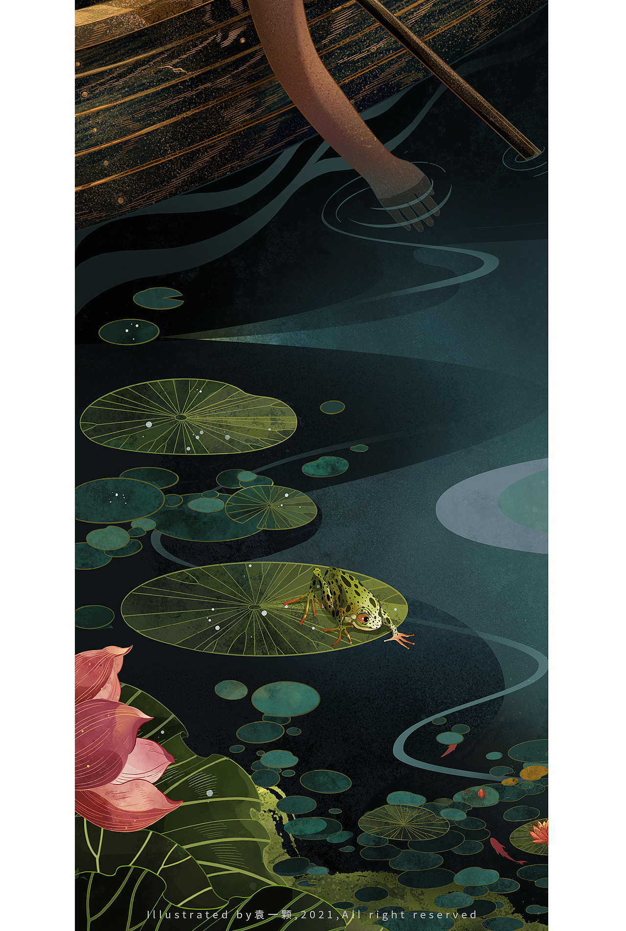 夏·荷塘|插画|商业插画|袁一颗 - 原创作品 - 站酷 (zcool)