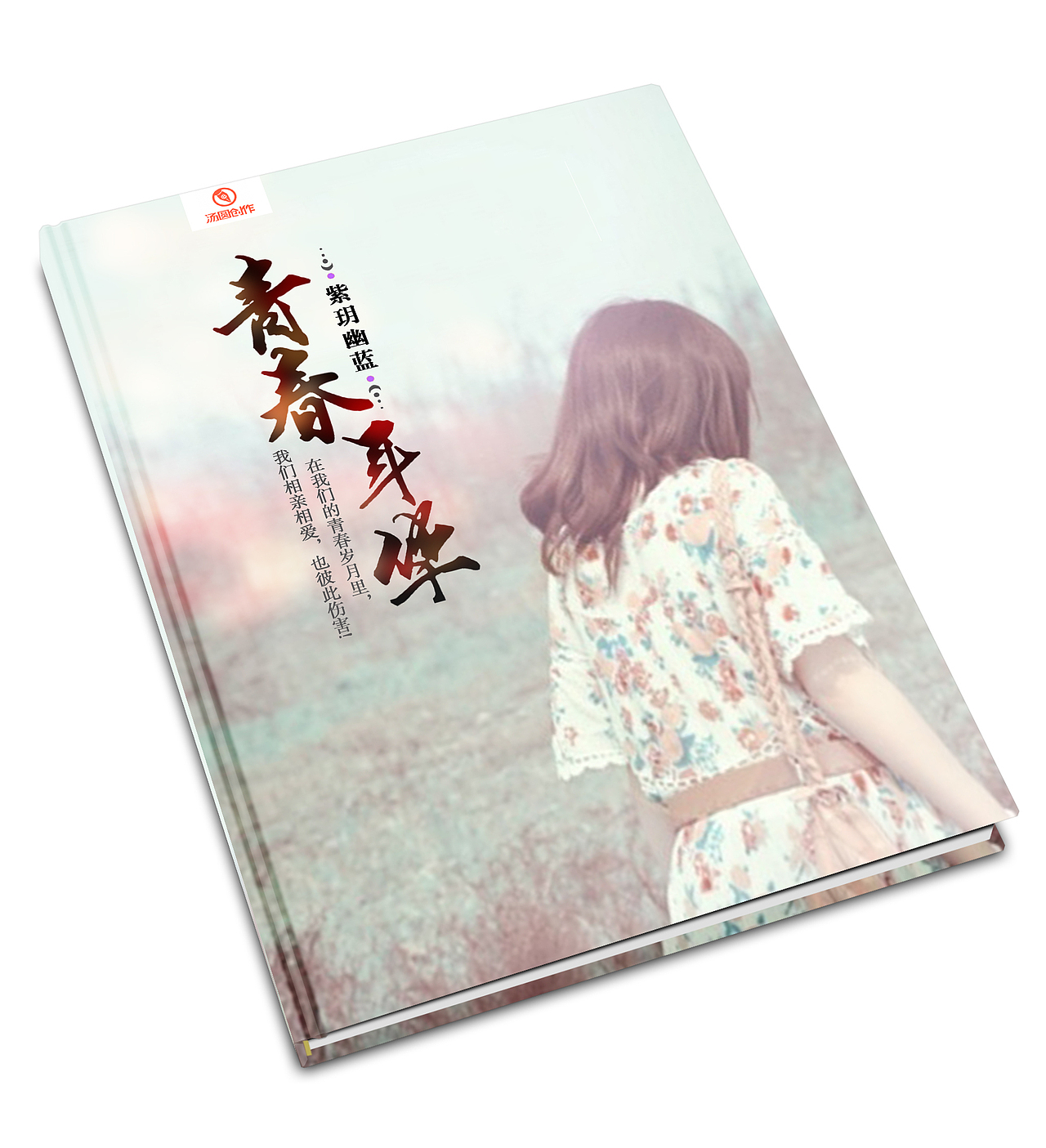 二版：青春年华立体封