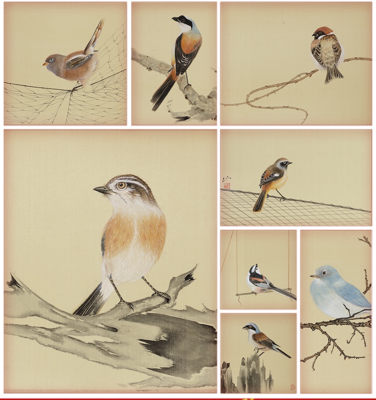 张田伟花鸟画作品（图ZMTUzOTA2NjAw） - 绘画 - 站酷设计师张田伟原创素材 - 站酷ZCOOL