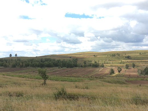 草地（個(gè)人主頁-ZNjE0OTQ0OTY=） - 風(fēng)光攝影 - 站酷設(shè)計(jì)師高處不勝寒123原創(chuàng)素材 - 站酷ZCOOL