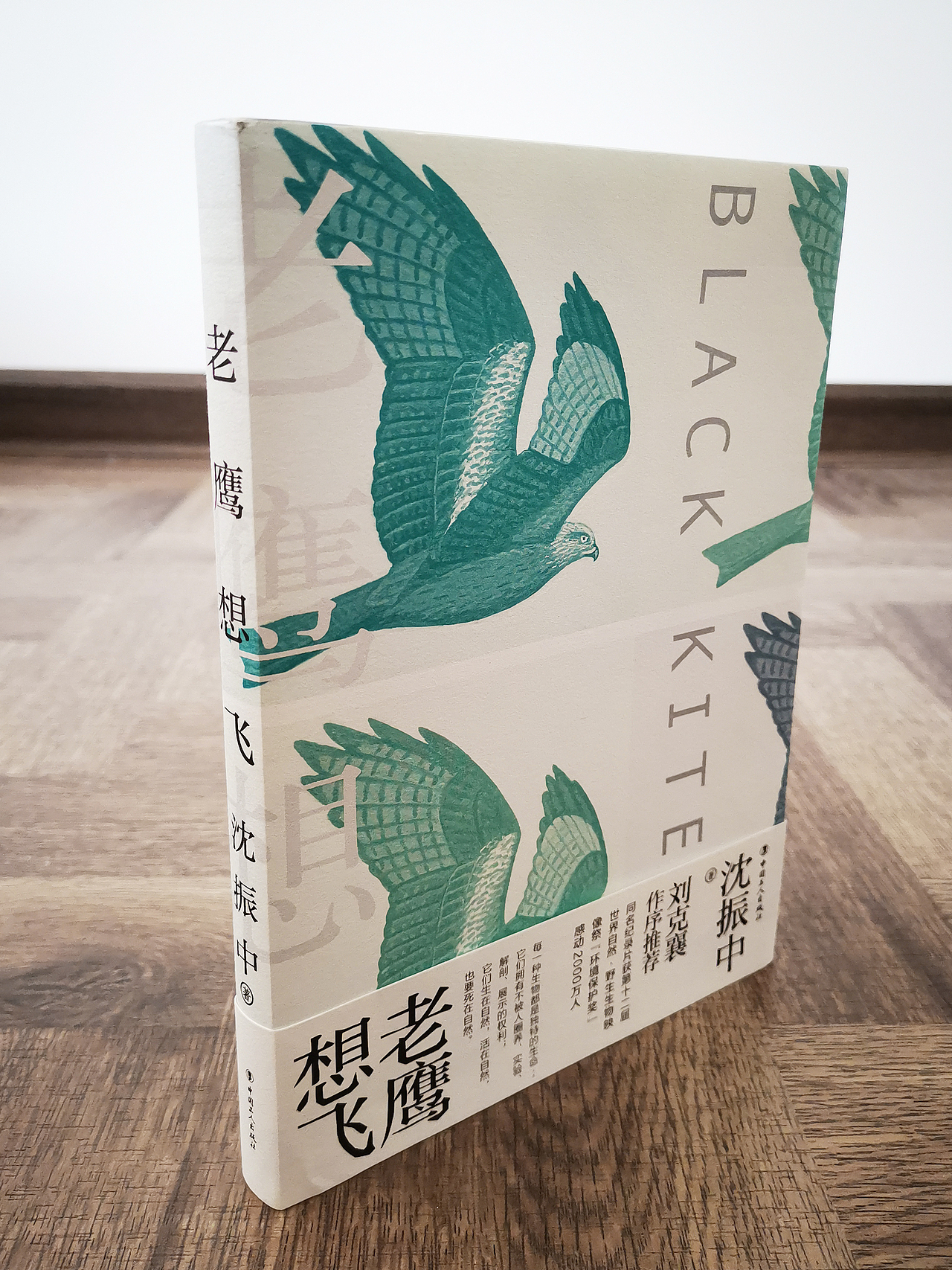 吾然设计——老鹰想飞（图ZMjI5OTYzMTIw） - 书籍/画册 - 站酷设计师吾然设计原创素材 - 站酷ZCOOL