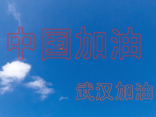 中国加油，武汉加油