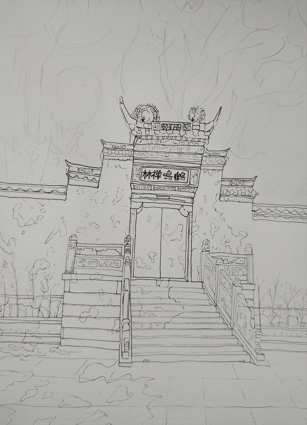 普陀山寺庙96非常多的参天大树!