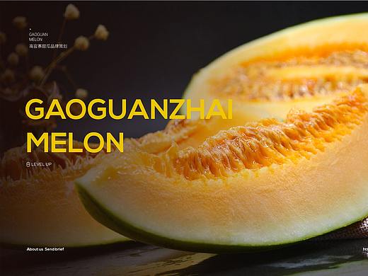 公共区域品牌(高官寨甜瓜)