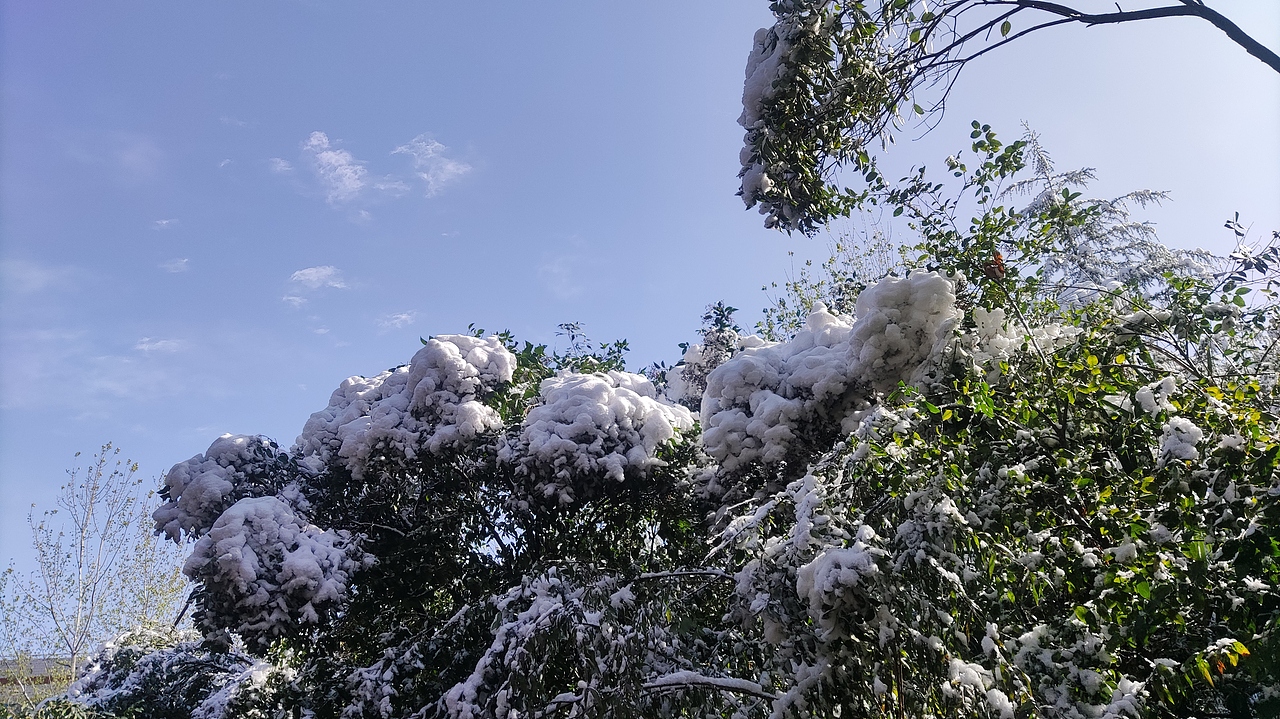 冬天已到,照顾好自己哦!