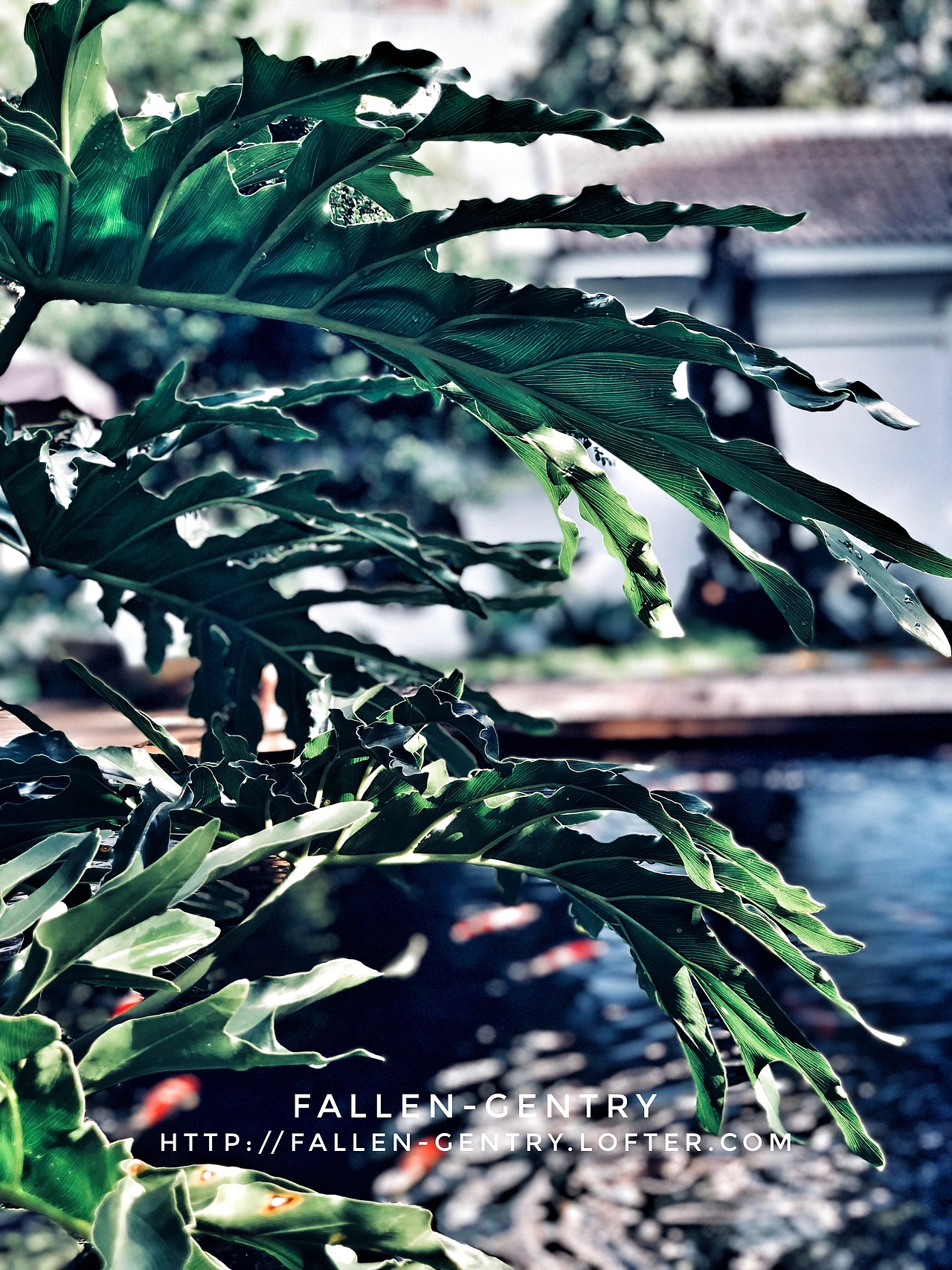 庭院（图ZMTI0MDc2MTYw） - 人文/纪实摄影 - 站酷设计师Fallen_Gentry原创素材 - 站酷ZCOOL