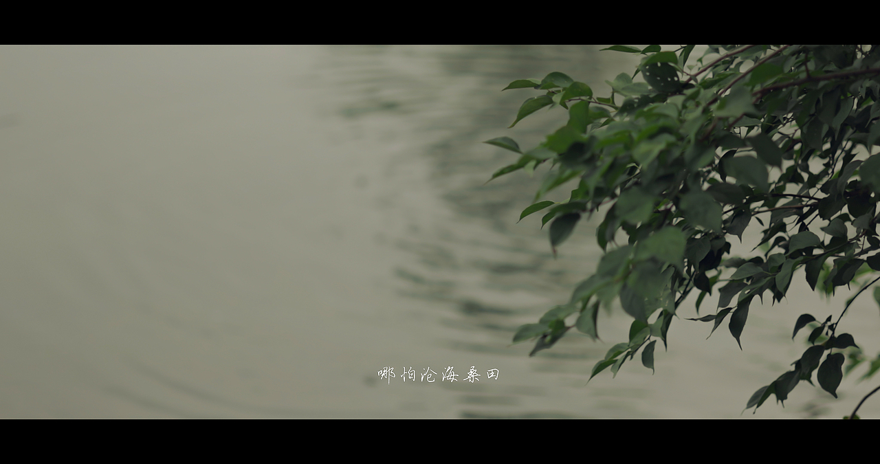 鬓边不是海棠红 | 人生犹如戏中人 你方唱罢我登场