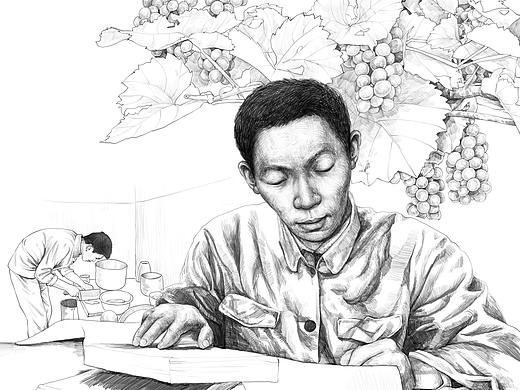 杂交水稻之父插画（个人主页-ZNDQ3Mzc4MzI=） - 商业插画 - 站酷设计师_五月__原创素材 - 站酷ZCOOL