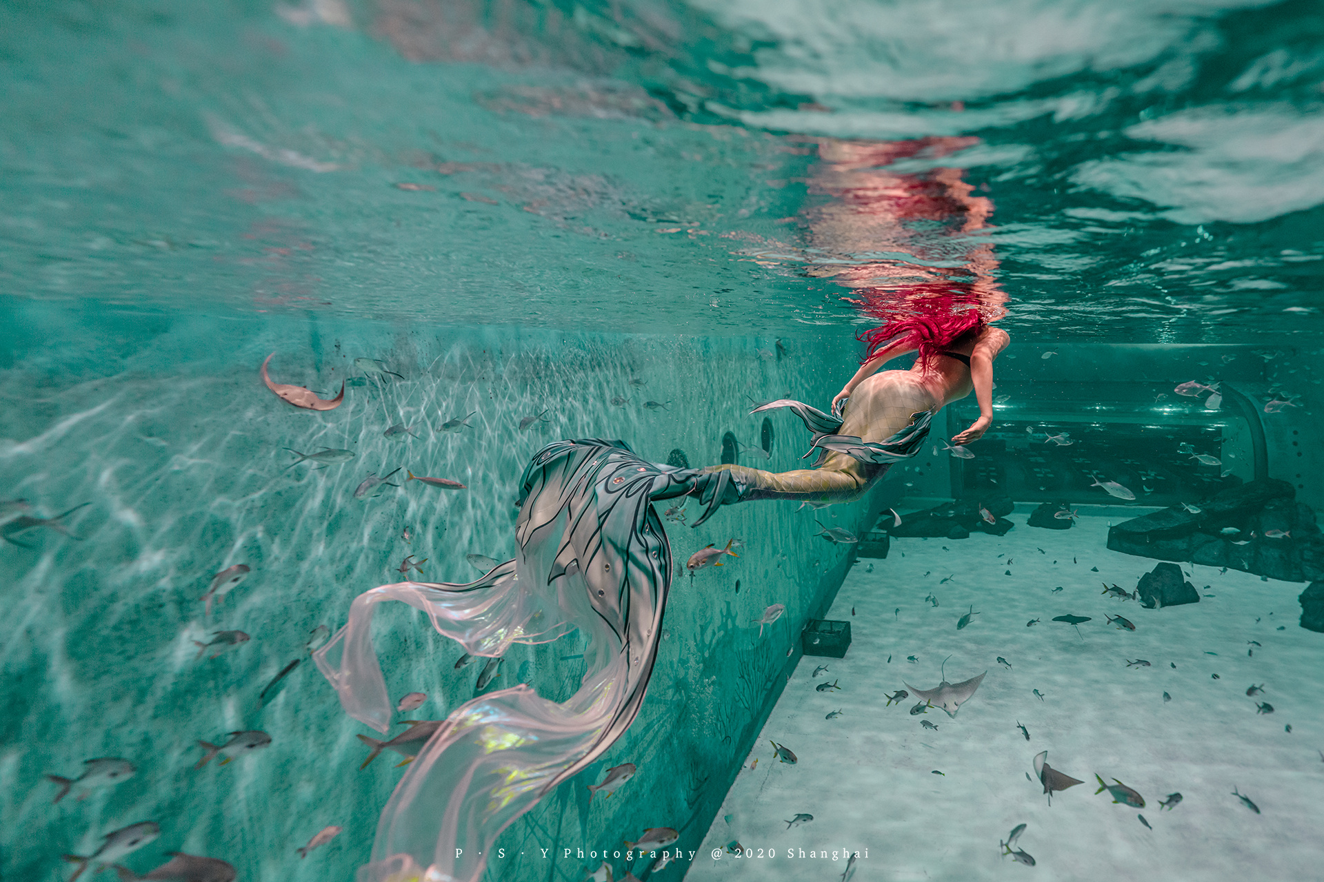 cos of ariel小美人鱼