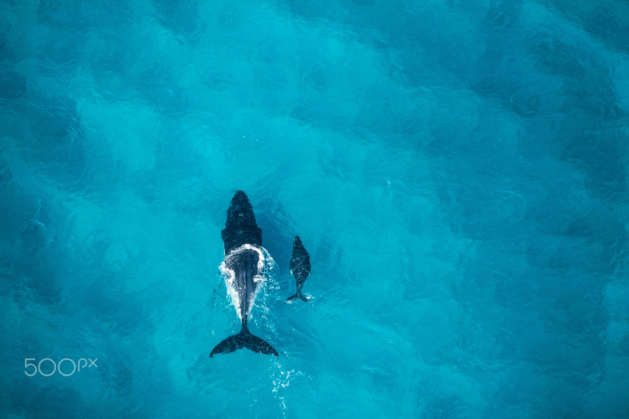 风间小小澈的个人主页（封面预览） - 主页封面设置 - 站酷设计师风间小小澈原创素材 - 站酷ZCOOL