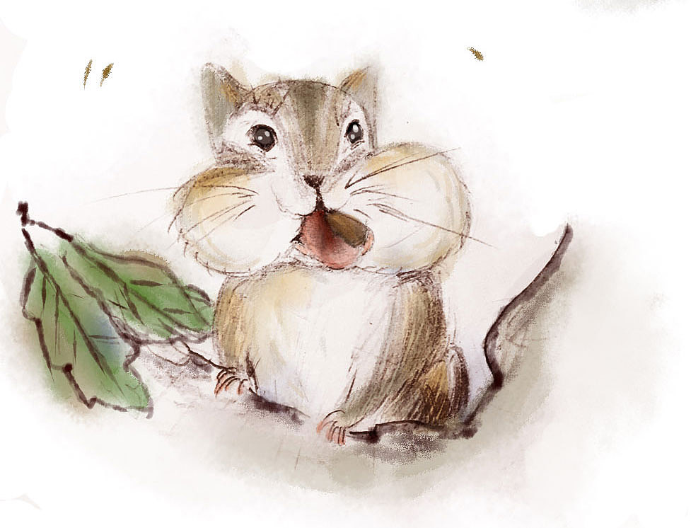 小松鼠（图ZMTMxNjEyMzky） - 创作习作 - 站酷设计师左一焦了原创素材 - 站酷ZCOOL