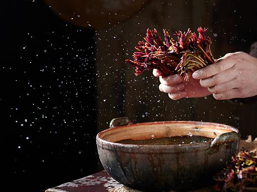 美食攝影 // 春季時令菜（個人主頁-ZNTE2ODI3ODg=） - 美食攝影 - 站酷設(shè)計師螞蟻動力美食視頻原創(chuàng)素材 - 站酷ZCOOL