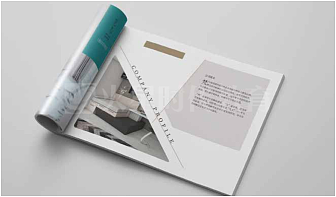 平面--品牌--画册--logo--海报