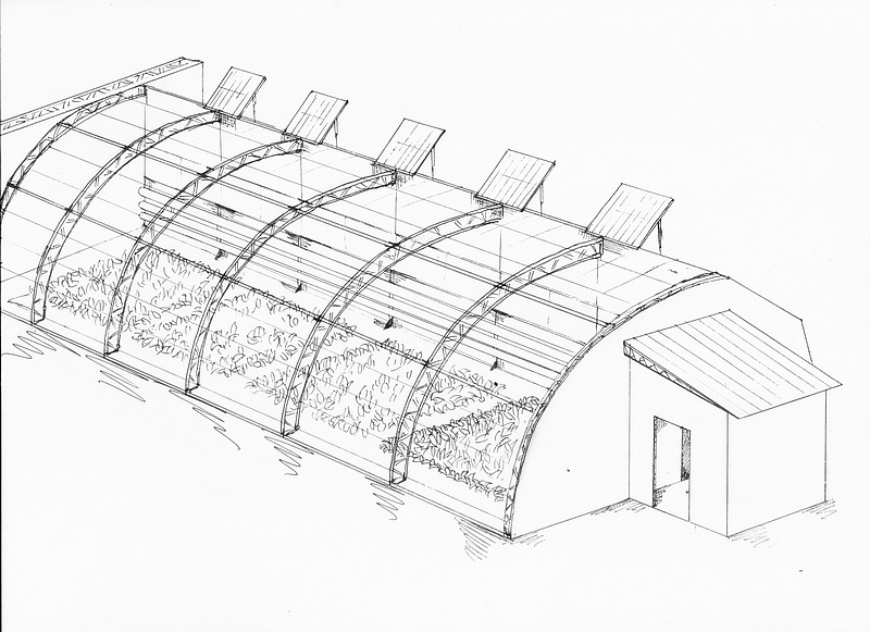 双屋面温室设计图图片