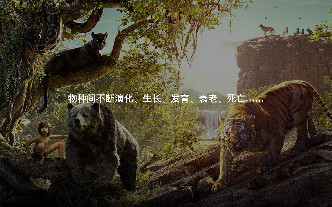 Raputa花园市集企业品牌形象（图ZMjM3MzM1MjUy） - 品牌 - 站酷设计师aime_chan原创素材 - 站酷ZCOOL