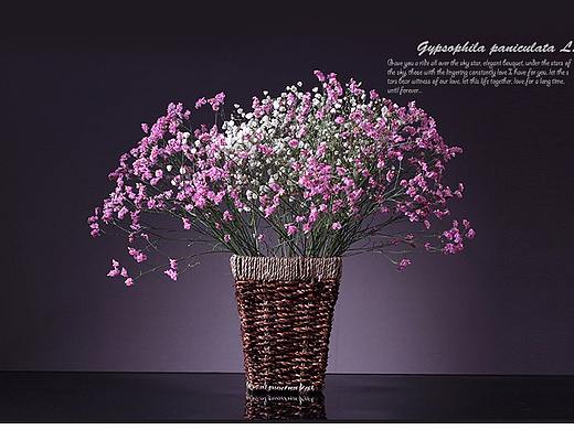 干花（满天星）详情（个人主页-ZMjQzMTk2MzY=） - 电商 - 站酷设计师逃之夭夭xx原创素材 - 站酷ZCOOL